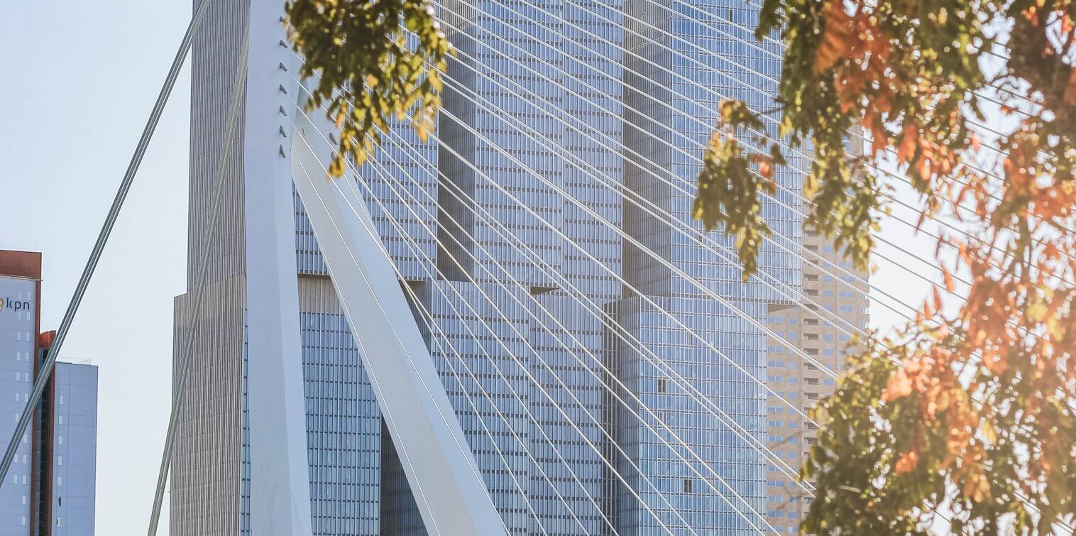 Rotterdam Visitor Guide: everything you need to know to get the most out of your visit!